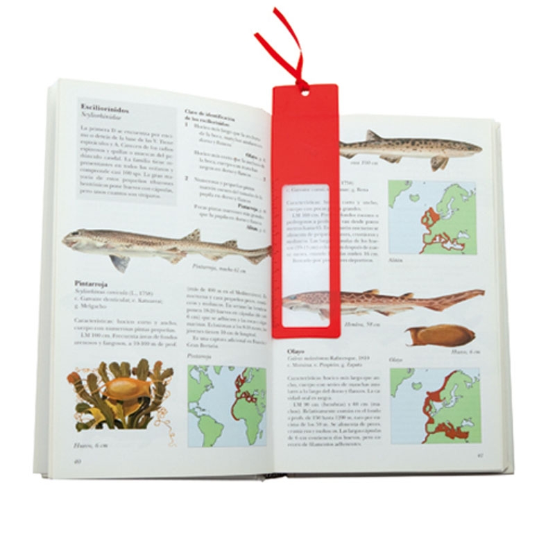 Segnalibro con lente